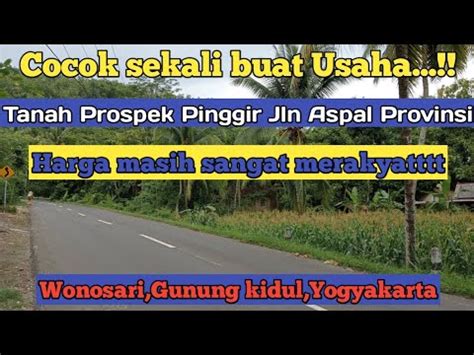 Dijual Tanah Pinggir Jalan Aspal Provinsi Cocok Buat Usaha Harga