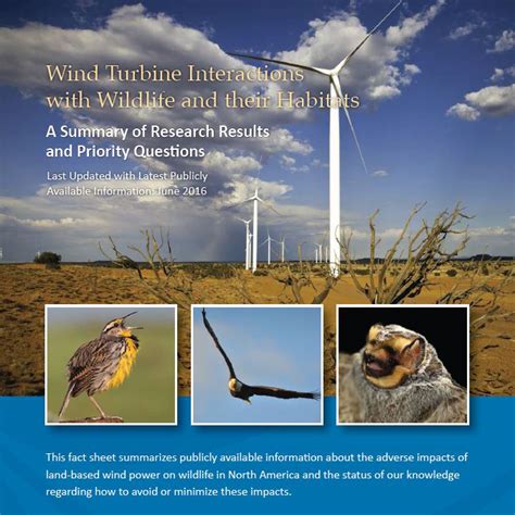 Summary Of Wind Wildlife Interactions American Wind Wildlife Institute