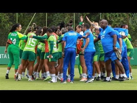 Manhã de treino em Vinhedo Avanti Palestrinas YouTube