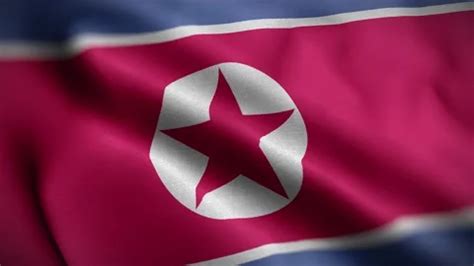 Korea North Flag Textured Waving Close U Stock Video Pond