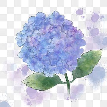 Hand Painted Hydrangea PNG Transparent Hand Painted Fantasy Blooming