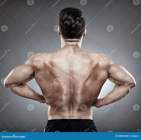 Bodybuilder Back Stock Photo - Image: 39893185