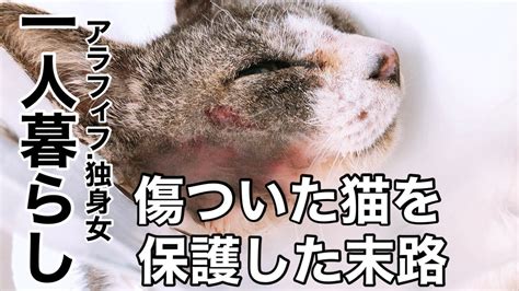 【アラフィフ独身×猫4匹】保護した猫は妊婦猫だった話 Youtube