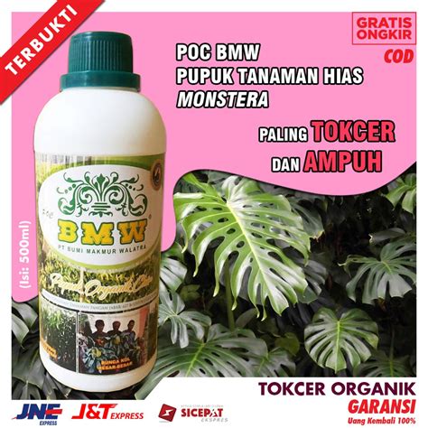 Jual Pupuk Organik Cair Tanaman Perangsang Bunga Monstera POC BMW