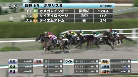 【41 ポラリスsほか】阪神ダイジェストjraレース結果 競馬予想動画