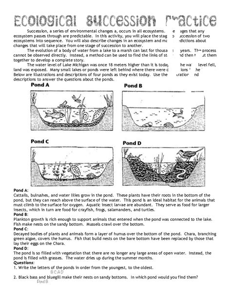 Population Ecology Worksheet