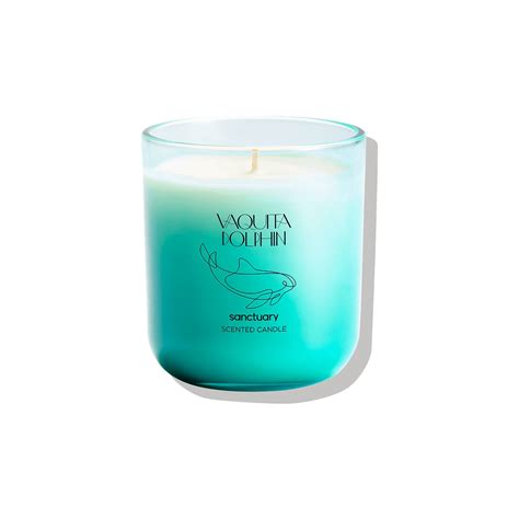 Sanctuary Vaquita Dolphin Scented Candle For Scentbird