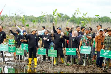 Hari Lahan Basah Sedunia Klhk Tanam Mangrove Di Kutai Kartanegara