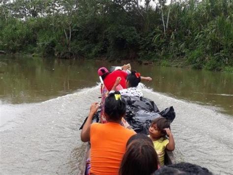 Comunidades Indígenas En Chocó Son Afectadas Por La Violencia