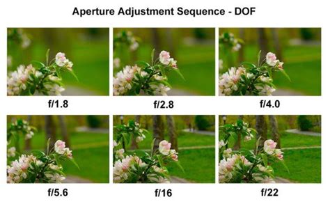 , shutter speed and depth of field examples - DSLR camera, photography ...