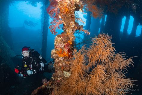 Diving The Usat Liberty Shipwreck Bali June Dive Happy