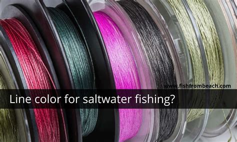 What Line Color Is Best For Saltwater Fishing Fish From Beach