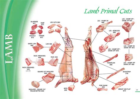 Collins Wholesale Meats Qld | Lamb