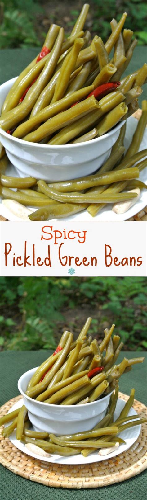 Spicy Pickled Green Beans Recipe - Vegan in the Freezer