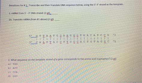 Solved Directions For 1 Transcribe And Then Translate DNA Chegg