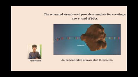 Dna Replication Youtube