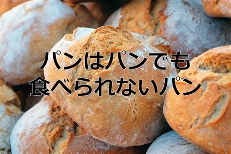 パンはパンでも食べられないパン 愛と正義の子育て奮闘記