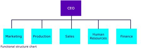 7 Types Of Organizational Structures Examples Key Elements Whatfix