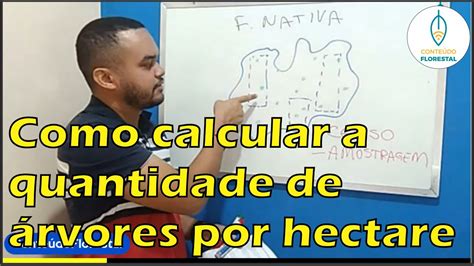 Como Calcular A Quantidade De Calc Rio Por Hectare Braincp