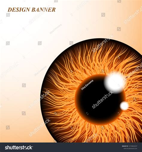 Iris Human Eye Isolated On Light Stock Vector Royalty Free 1219963237