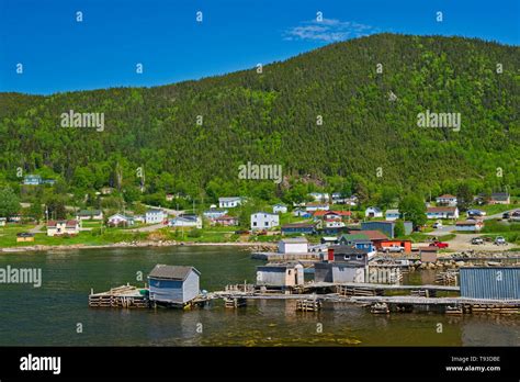 Fishing Village And Shoreline Along White Bay Baie Verte Peninsula