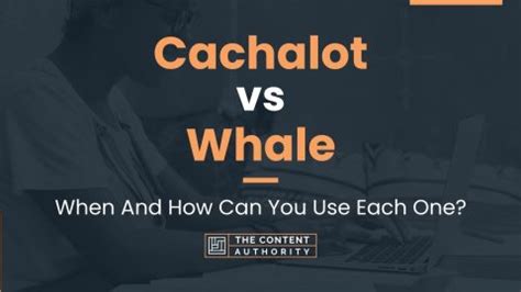 Cachalot vs Whale: When And How Can You Use Each One?