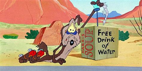 15 Things You Didn T Know About Wile E Coyote