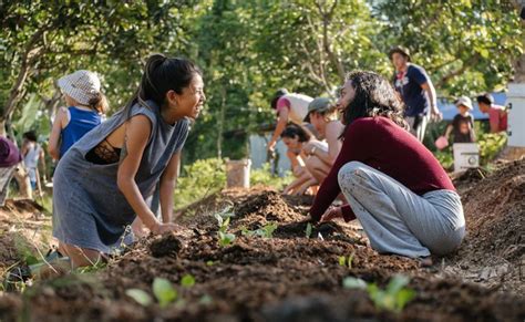 Bali Jiwa Community Garden Tour Bumi Journey