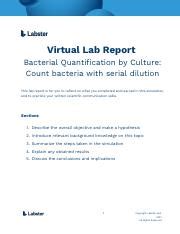 Lab Report 5 BIO 205 Pdf Virtual Lab Report Bacterial