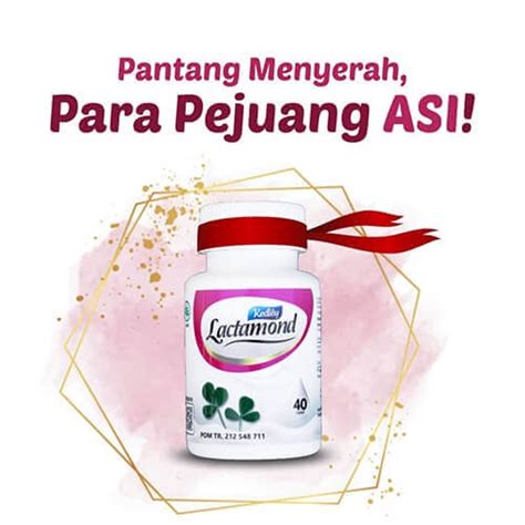 Jual Lactamond Kaplet Lactamond Fenugreek Booster ASI ASI Booster