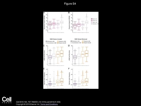 Redefining The Translational Status Of 80s Monosomes Ppt Download