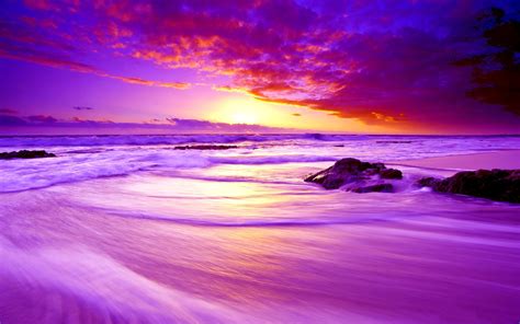 Purple Beach Sunrise