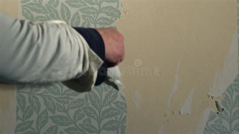 Hand Stripping Wallpaper From Home Internal Wall Close Up Stock Footage