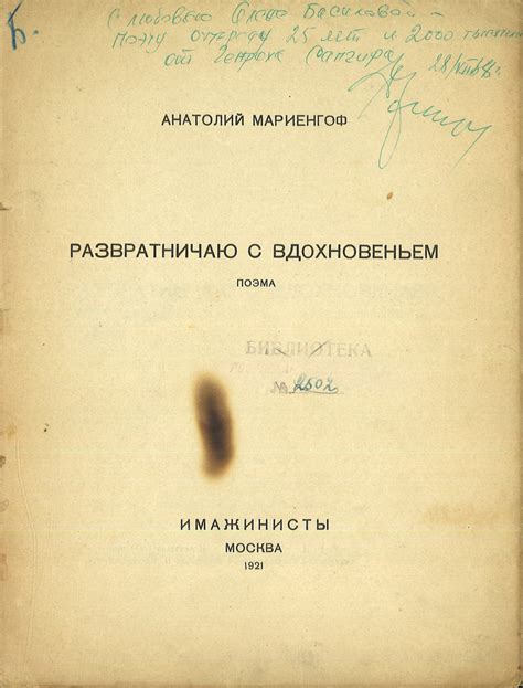 Обложка книги «Развратничаю с вдохновением»