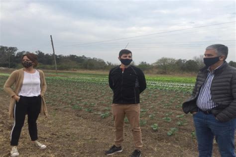 Finalmente Se Presentó El Proyecto Para Regular El Uso De Agroquímicos