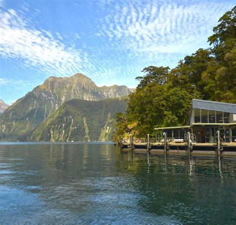 Milford Sound Underwater Observatory – Milford Sound Cruise