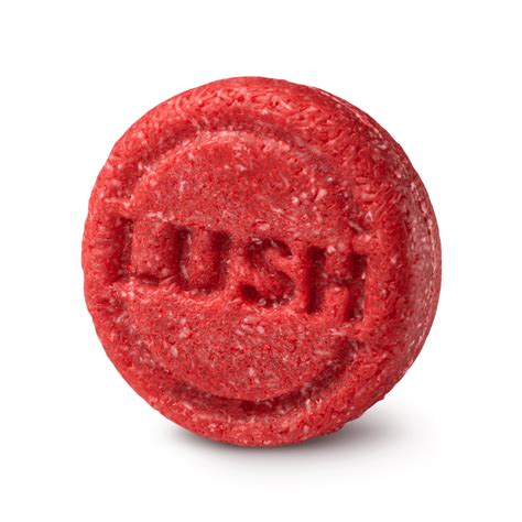 2021 2022 Statement Combating Modern Slavery We Are Lush