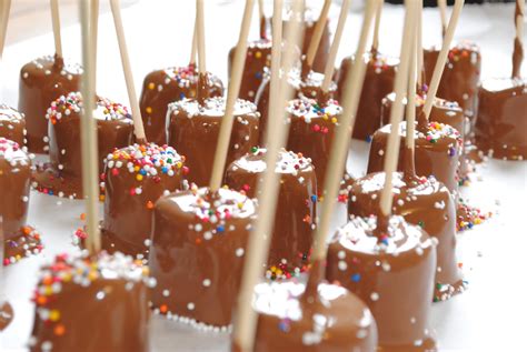 Razmataz Ted Chocolate Dipped Marshmallows