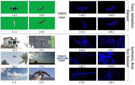 Applied Sciences Free Full Text Real Uav Bird Image Classification