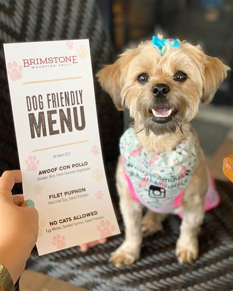 Theres A Restaurant That Has A Brunch Menu For Dogs Complete With