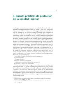 Buenas Pr Cticas De Protecci N De La Sanidad Buenas Pr