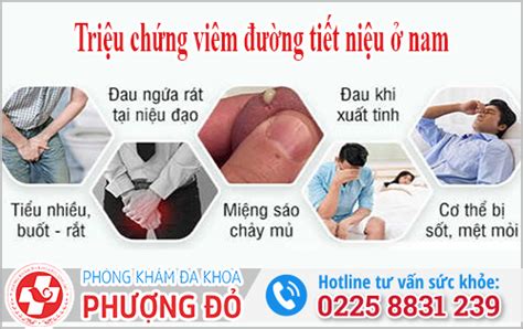 Phòng Khám Đa Khoa Phượng Đỏ Hải Phòng Triệu chứng viêm đường tiết