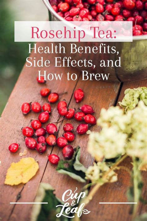 Rose Hip Tea: Health Benefits, Side Effects, and How to Brew | Rosehip ...