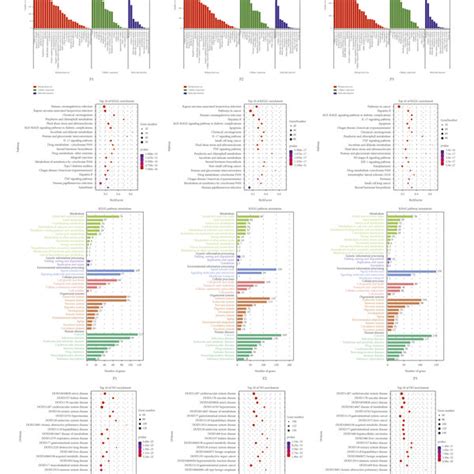 Gene Ontology Kyoto Encyclopedia Of Genes And Genomes And Disease Download Scientific Diagram