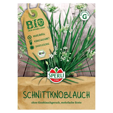 Bio Schnittknoblauch Saatgut Von Sperli Online Kaufen Pflanzen K Lle