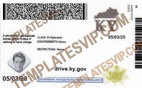 Drivers License Templates Page Templates Drivers Licenses Premium