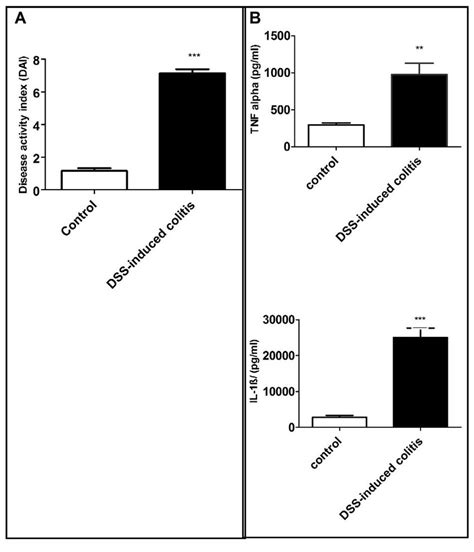 Induction Of Colitis By Dss Treatment Download Scientific Diagram