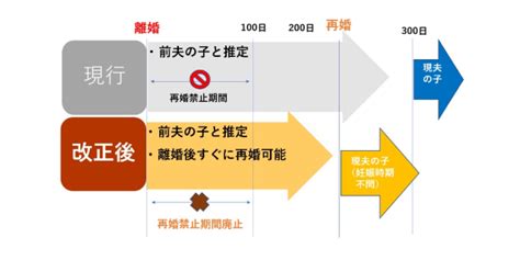 「女性の再婚禁止期間消滅」「医療用大麻利用の解禁」2024年に改正される“日常生活に関わる”法律の中身とは 弁護士jpニュース