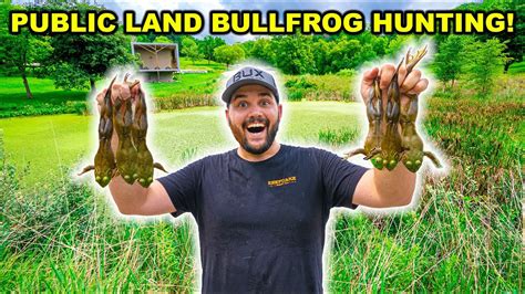 Bullfrog Hunting On Public Land Challenge Catch Clean Cook Youtube