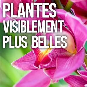 Fertiligène FBPF Engrais Bâtonnets Nutritifs Plantes Fleuries x 40